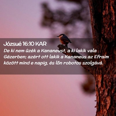Picture 02 - Józsué 16:10 KAR - De ki nem ûzék a Kananeust, a ki lakik vala - Bible Verse Picture