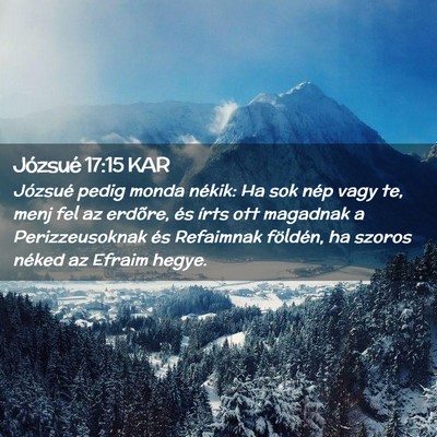 Picture 02 - Józsué 17:15 KAR - Józsué pedig monda nékik: Ha sok nép vagy te, - Bible Verse Picture