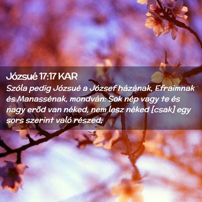 Picture 02 - Józsué 17:17 KAR - Szóla pedig Józsué a József házának, - Bible Verse Picture