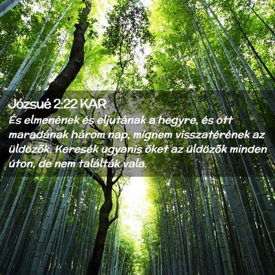 Picture 02 - Józsué 2:22 KAR - És elmenének és eljutának a hegyre, és ott - Bible Verse Picture