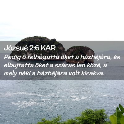 Picture 02 - Józsué 2:6 KAR - Pedig õ felhágatta õket a házhéjára, és - Bible Verse Picture