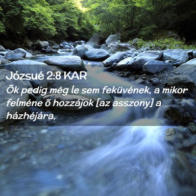 Picture 02 - Józsué 2:8 KAR - Õk pedig még le sem feküvének, a mikor - Bible Verse Picture