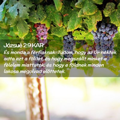 Picture 02 - Józsué 2:9 KAR - És monda a férfiaknak: Tudom, hogy az Úr - Bible Verse Picture
