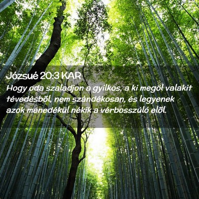 Picture 02 - Józsué 20:3 KAR - Hogy oda szaladjon a gyilkos, a ki megöl valakit - Bible Verse Picture
