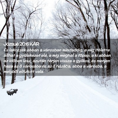 Picture 02 - Józsué 20:6 KAR - És lakozzék abban a városban mindaddig, a míg - Bible Verse Picture