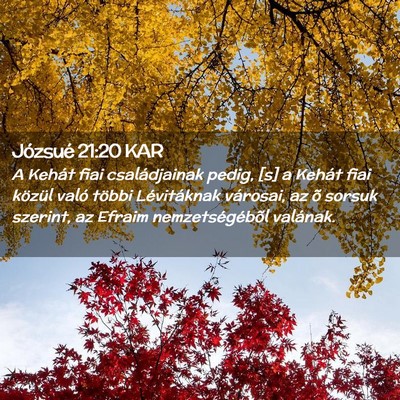 Picture 02 - Józsué 21:20 KAR - A Kehát fiai családjainak pedig, [s] a Kehát - Bible Verse Picture