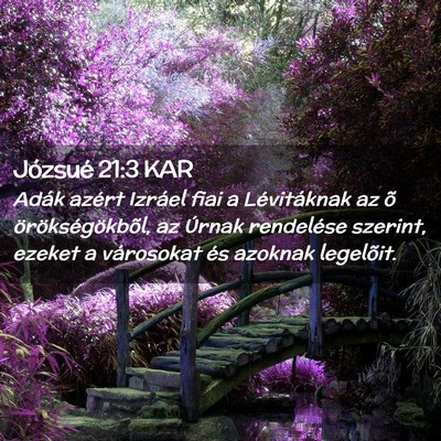 Picture 02 - Józsué 21:3 KAR - Adák azért Izráel fiai a Lévitáknak az õ - Bible Verse Picture