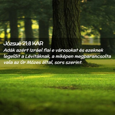 Picture 02 - Józsué 21:8 KAR - Adák azért Izráel fiai e városokat és - Bible Verse Picture