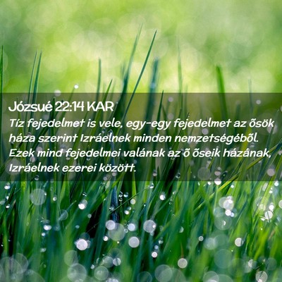 Picture 02 - Józsué 22:14 KAR - Tíz fejedelmet is vele, egy-egy fejedelmet az - Bible Verse Picture