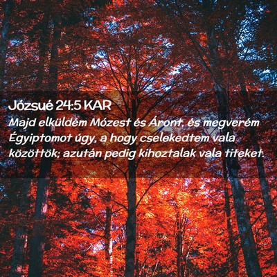 Picture 02 - Józsué 24:5 KAR - Majd elküldém Mózest és Áront, és megverém - Bible Verse Picture