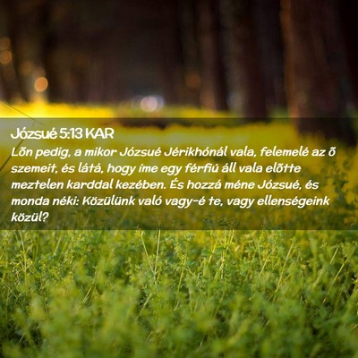 Picture 02 - Józsué 5:13 KAR - Lõn pedig, a mikor Józsué Jérikhónál vala, - Bible Verse Picture