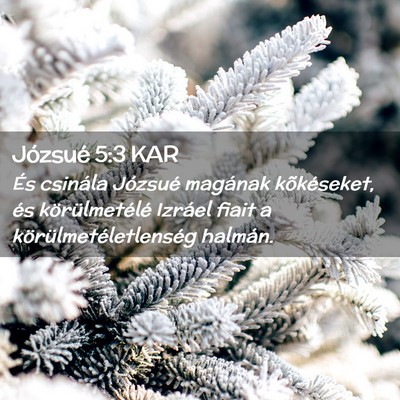 Picture 02 - Józsué 5:3 KAR - És csinála Józsué magának kõkéseket, és - Bible Verse Picture