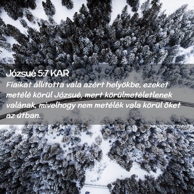 Picture 02 - Józsué 5:7 KAR - Fiaikat állította vala azért helyökbe, ezeket - Bible Verse Picture
