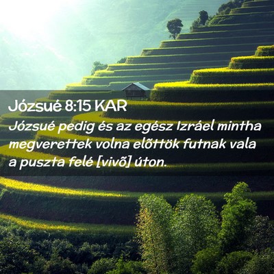 Picture 02 - Józsué 8:15 KAR - Józsué pedig és az egész Izráel mintha - Bible Verse Picture