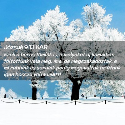 Picture 02 - Józsué 9:13 KAR - Ezek a boros tömlõk is, a melyeket új korukban - Bible Verse Picture