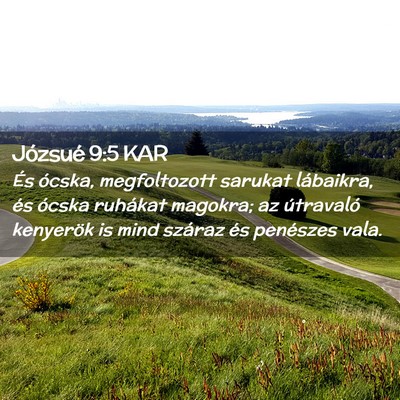 Picture 02 - Józsué 9:5 KAR - És ócska, megfoltozott sarukat lábaikra, és - Bible Verse Picture