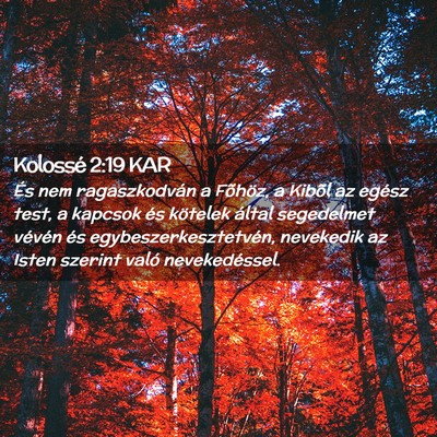 Picture 02 - Kolossé 2:19 KAR - És nem ragaszkodván a Fõhöz, a Kibõl az - Bible Verse Picture