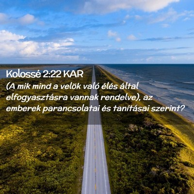 Picture 02 - Kolossé 2:22 KAR - (A mik mind a velök való élés által - Bible Verse Picture