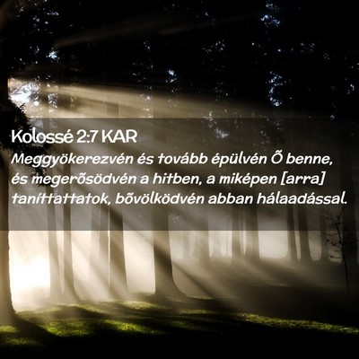 Picture 02 - Kolossé 2:7 KAR - Meggyökerezvén és tovább épülvén Õ benne, - Bible Verse Picture