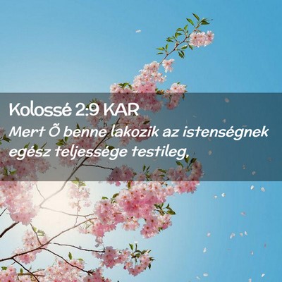 Picture 02 - Kolossé 2:9 KAR - Mert Õ benne lakozik az istenségnek egész - Bible Verse Picture