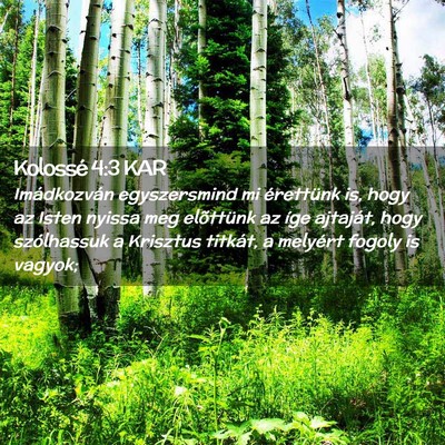 Picture 02 - Kolossé 4:3 KAR - Imádkozván egyszersmind mi érettünk is, hogy - Bible Verse Picture