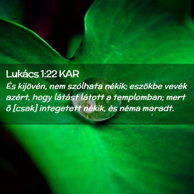 Picture 02 - Lukács 1:22 KAR - És kijövén, nem szólhata nékik; eszökbe - Bible Verse Picture