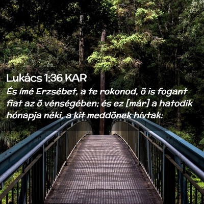 Picture 02 - Lukács 1:36 KAR - És ímé Erzsébet, a te rokonod, õ is fogant - Bible Verse Picture