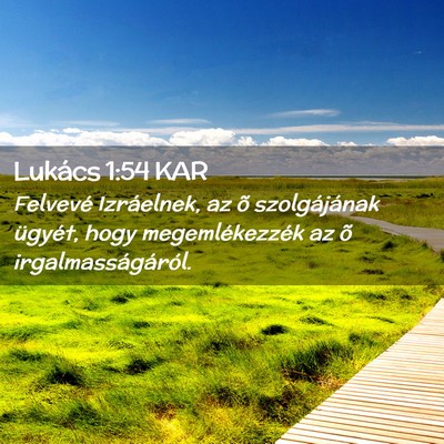 Picture 02 - Lukács 1:54 KAR - Felvevé Izráelnek, az õ szolgájának ügyét, - Bible Verse Picture