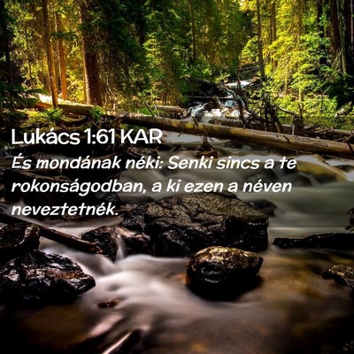 Picture 02 - Lukács 1:61 KAR - És mondának néki: Senki sincs a te - Bible Verse Picture