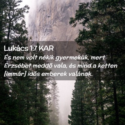 Picture 02 - Lukács 1:7 KAR - És nem volt nékik gyermekük, mert Erzsébet - Bible Verse Picture