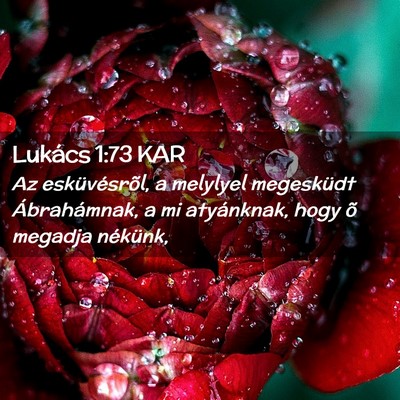 Picture 02 - Lukács 1:73 KAR - Az esküvésrõl, a melylyel megesküdt - Bible Verse Picture