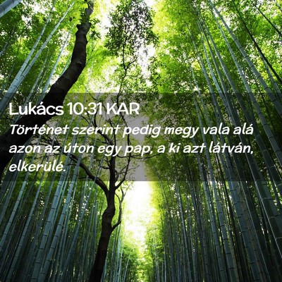 Picture 02 - Lukács 10:31 KAR - Történet szerint pedig megy vala alá azon az - Bible Verse Picture