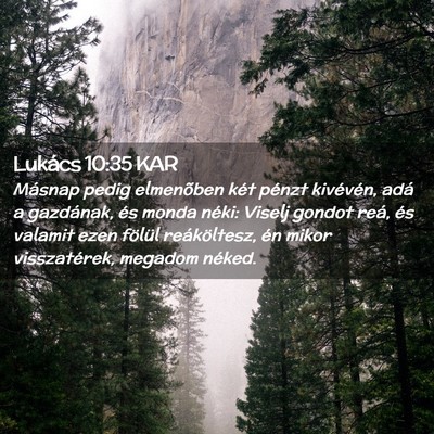 Picture 02 - Lukács 10:35 KAR - Másnap pedig elmenõben két pénzt kivévén, - Bible Verse Picture