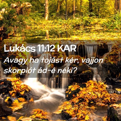 Picture 02 - Lukács 11:12 KAR - Avagy ha tojást kér, vajjon skorpiót ád-é - Bible Verse Picture