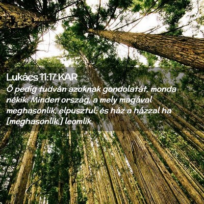 Picture 02 - Lukács 11:17 KAR - Õ pedig tudván azoknak gondolatát, monda - Bible Verse Picture