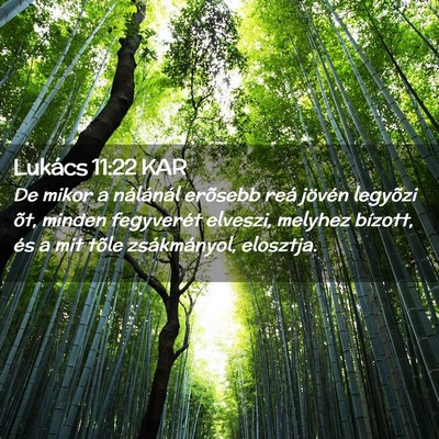 Picture 02 - Lukács 11:22 KAR - De mikor a nálánál erõsebb reá jövén - Bible Verse Picture