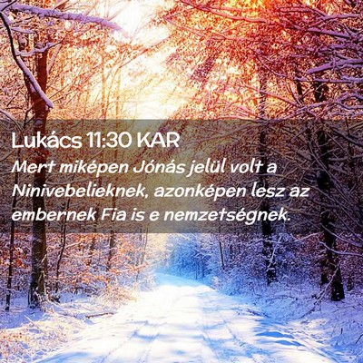 Picture 02 - Lukács 11:30 KAR - Mert miképen Jónás jelül volt a - Bible Verse Picture