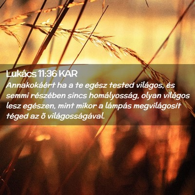 Picture 02 - Lukács 11:36 KAR - Annakokáért ha a te egész tested világos, és - Bible Verse Picture