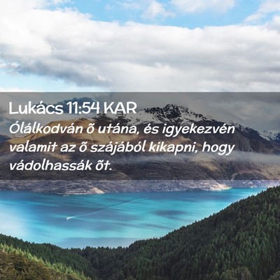 Picture 02 - Lukács 11:54 KAR - Ólálkodván õ utána, és igyekezvén valamit - Bible Verse Picture