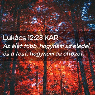 Picture 02 - Lukács 12:23 KAR - Az élet több, hogynem az eledel, és a test, - Bible Verse Picture
