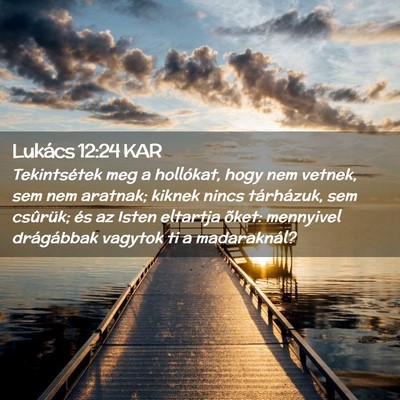 Picture 02 - Lukács 12:24 KAR - Tekintsétek meg a hollókat, hogy nem vetnek, - Bible Verse Picture