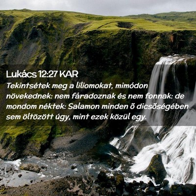 Picture 02 - Lukács 12:27 KAR - Tekintsétek meg a liliomokat, mimódon - Bible Verse Picture