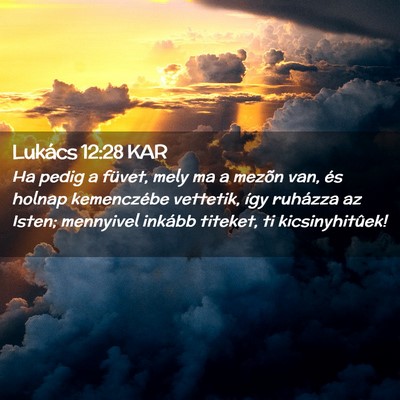 Picture 02 - Lukács 12:28 KAR - Ha pedig a füvet, mely ma a mezõn van, és - Bible Verse Picture
