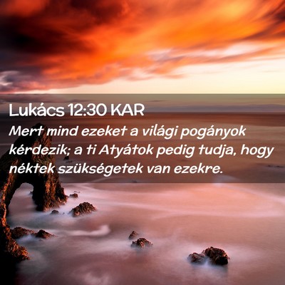 Picture 02 - Lukács 12:30 KAR - Mert mind ezeket a világi pogányok kérdezik; a - Bible Verse Picture