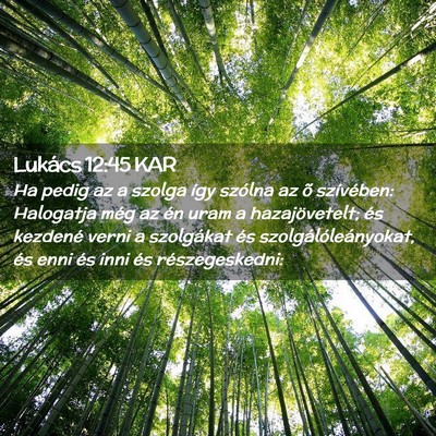 Picture 02 - Lukács 12:45 KAR - Ha pedig az a szolga így szólna az õ - Bible Verse Picture