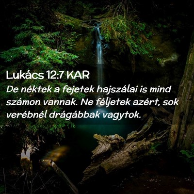 Picture 02 - Lukács 12:7 KAR - De néktek a fejetek hajszálai is mind számon - Bible Verse Picture