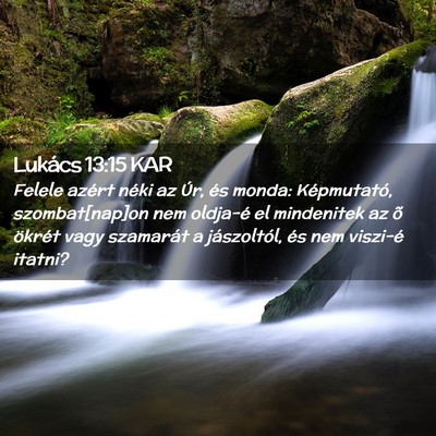 Picture 02 - Lukács 13:15 KAR - Felele azért néki az Úr, és monda: - Bible Verse Picture