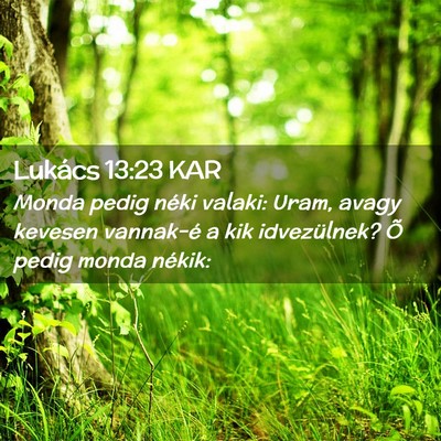 Picture 02 - Lukács 13:23 KAR - Monda pedig néki valaki: Uram, avagy kevesen - Bible Verse Picture