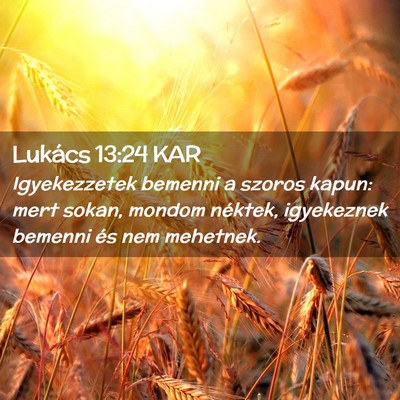 Picture 02 - Lukács 13:24 KAR - Igyekezzetek bemenni a szoros kapun: mert sokan, - Bible Verse Picture