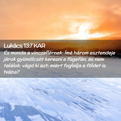 Picture 02 - Lukács 13:7 KAR - És monda a vinczellérnek: Ímé három - Bible Verse Picture
